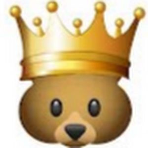 Meet your Posher, Thebearking